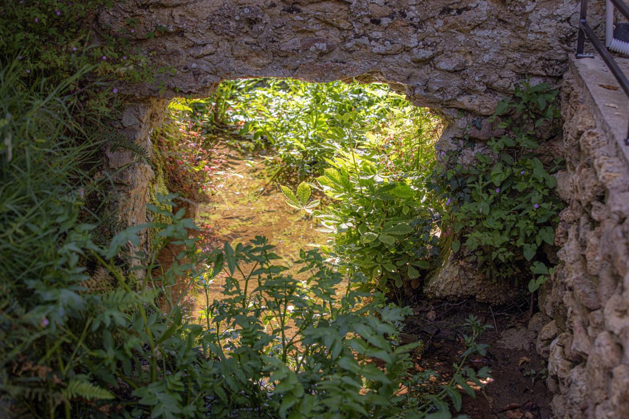 Le Ru De Biche - 20Min Disney - Spa Du 01 05 Au 01 11 - Paisible Guerard Екстер'єр фото